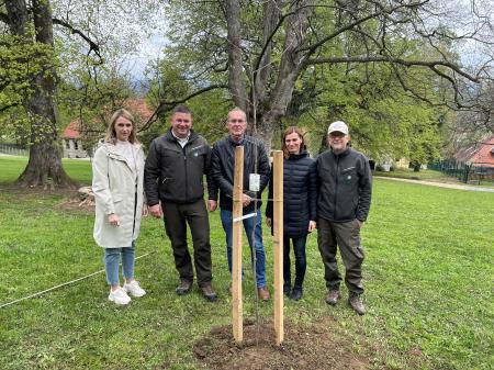 Sajenje drevesa- april 2023-2